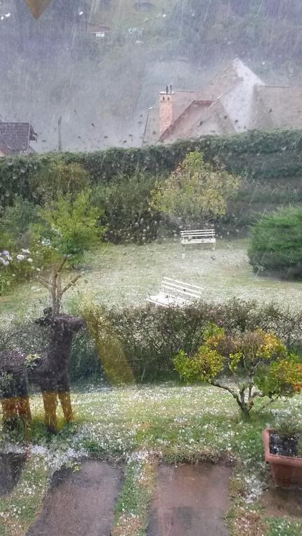 Pousada Toca Dos Tucanos Campos do Jordão エクステリア 写真