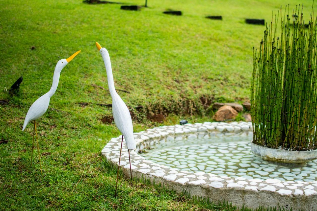 Pousada Toca Dos Tucanos Campos do Jordão エクステリア 写真